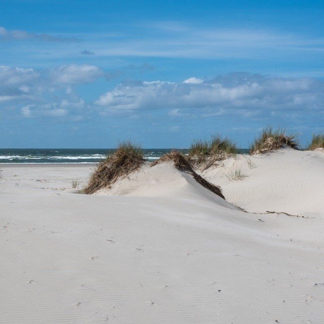 Ontdek de Waddenzee