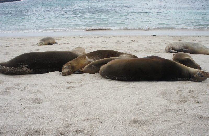 Rondvaart Reddingboot