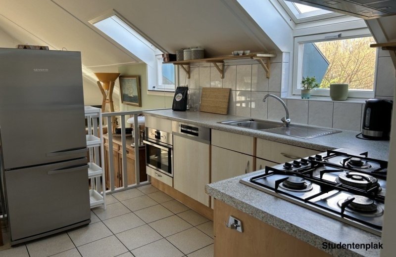 Haantjes Vakantiepark Terschelling Schylger plakken 6-8 personen Studentenplak keuken