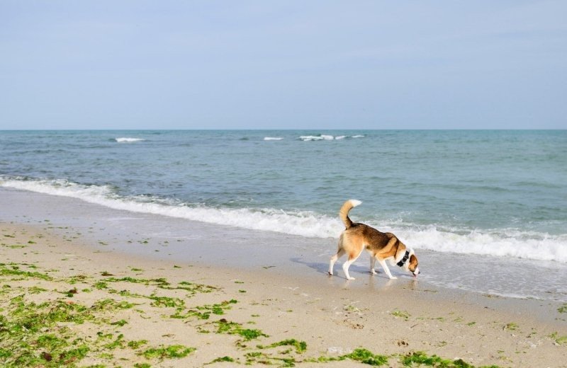 Voorjaarsvakantie op Terschelling